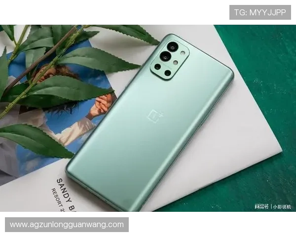 尊龙app手机版下载最新版本，享受优化升级带来的流畅体验